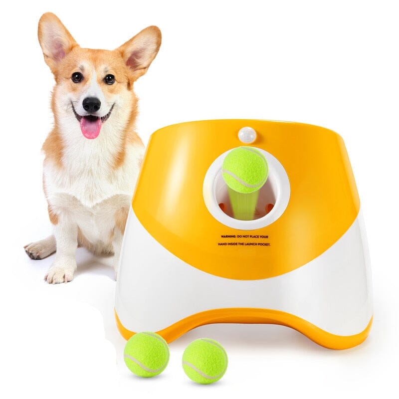 Arremessador Automático De Bolinha Para Cães